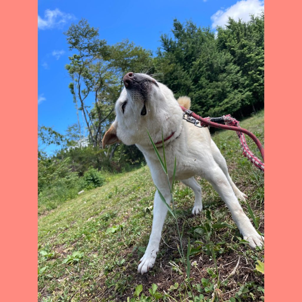 5a27a1f40c580a0956536a9fdb85236a