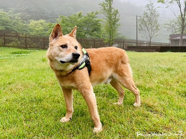 91ae81c8f5f57e36b7425de6c03ec29a