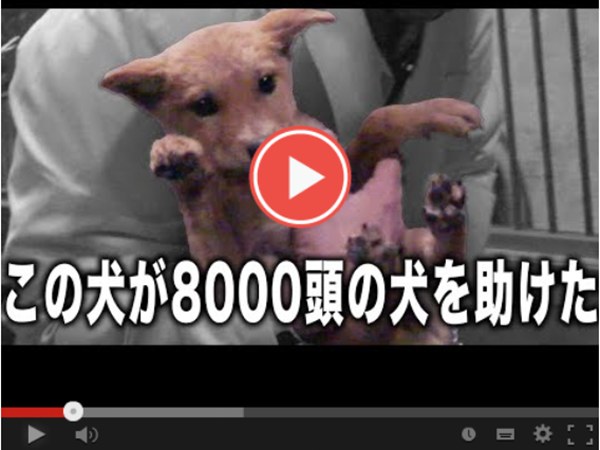 7d5b1c8d29bfc1ece5c3926c389b6dae