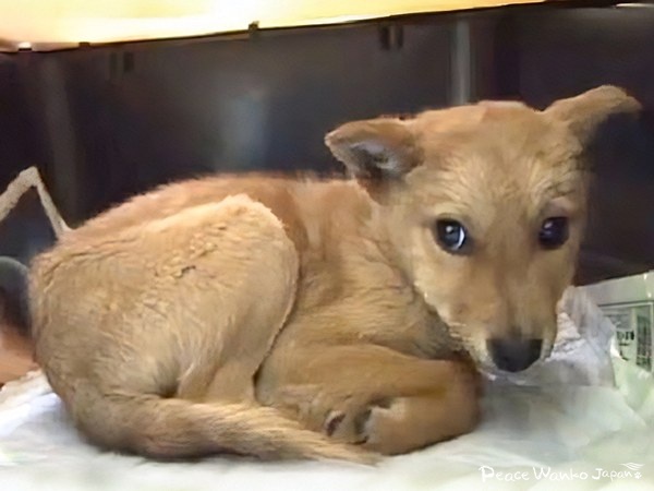 89bf174d803797f47b29d47c1e2bd1db