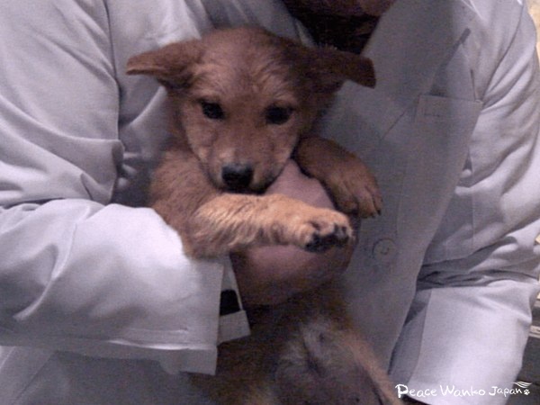 6e5a151735e913371fd1657e5c8b6354