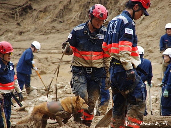 aa37d727bd971776d5414f94008691b0