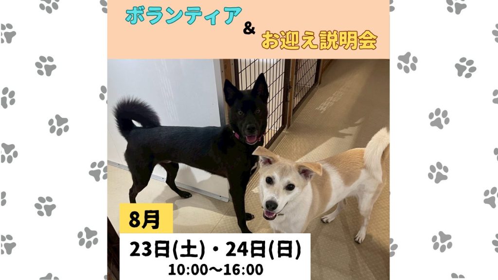 281792ef4c9e84a805f73afe5d205154