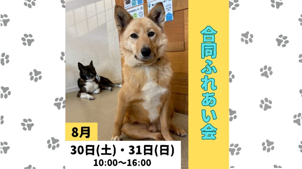 e85a96d0bdbaf1678f47f48b0517d410