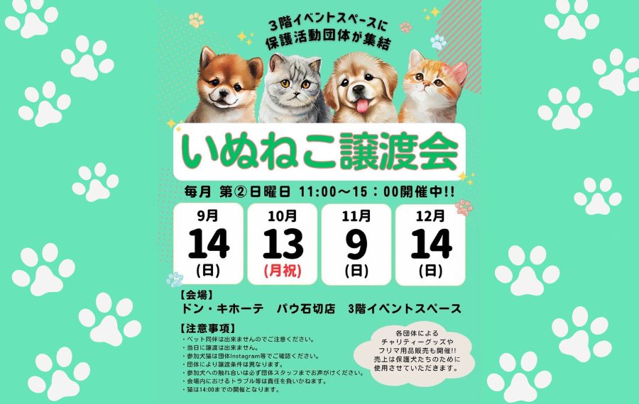 556822d08fe066d5d43deac2d6be5032