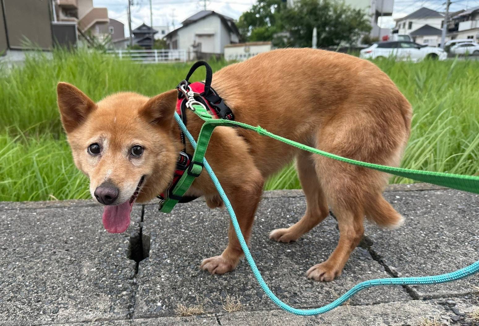 15a15ea3022a99d25d3c9706b5fc609f