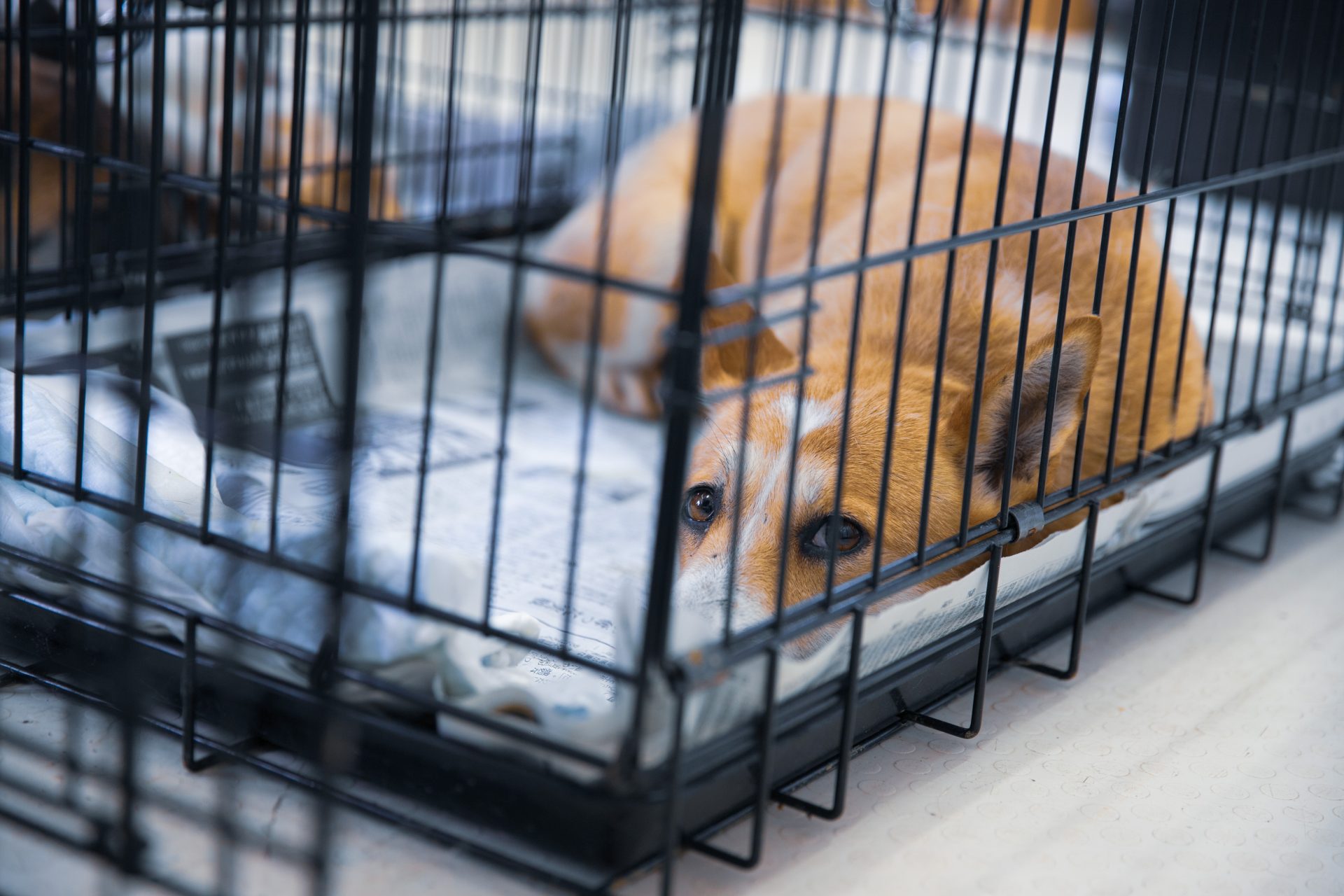 81789414839e3f241d96781a2845a363