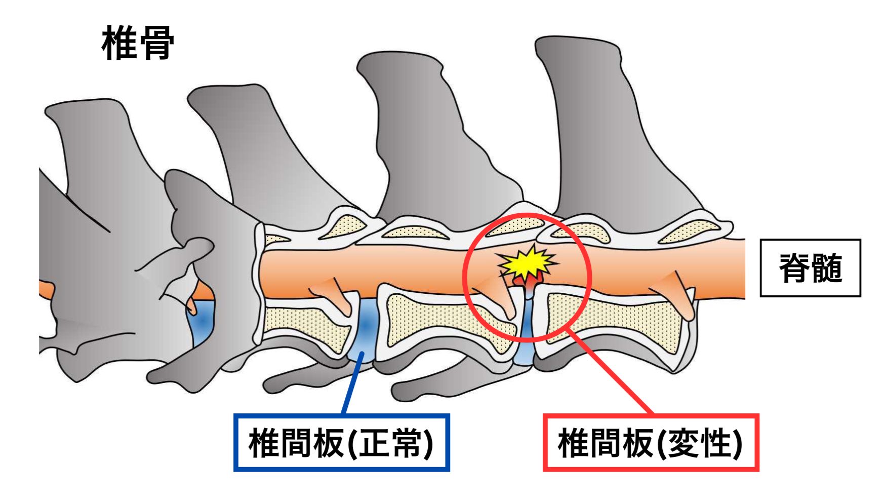 b8be0ed1f116979440e0e2f844599bc0