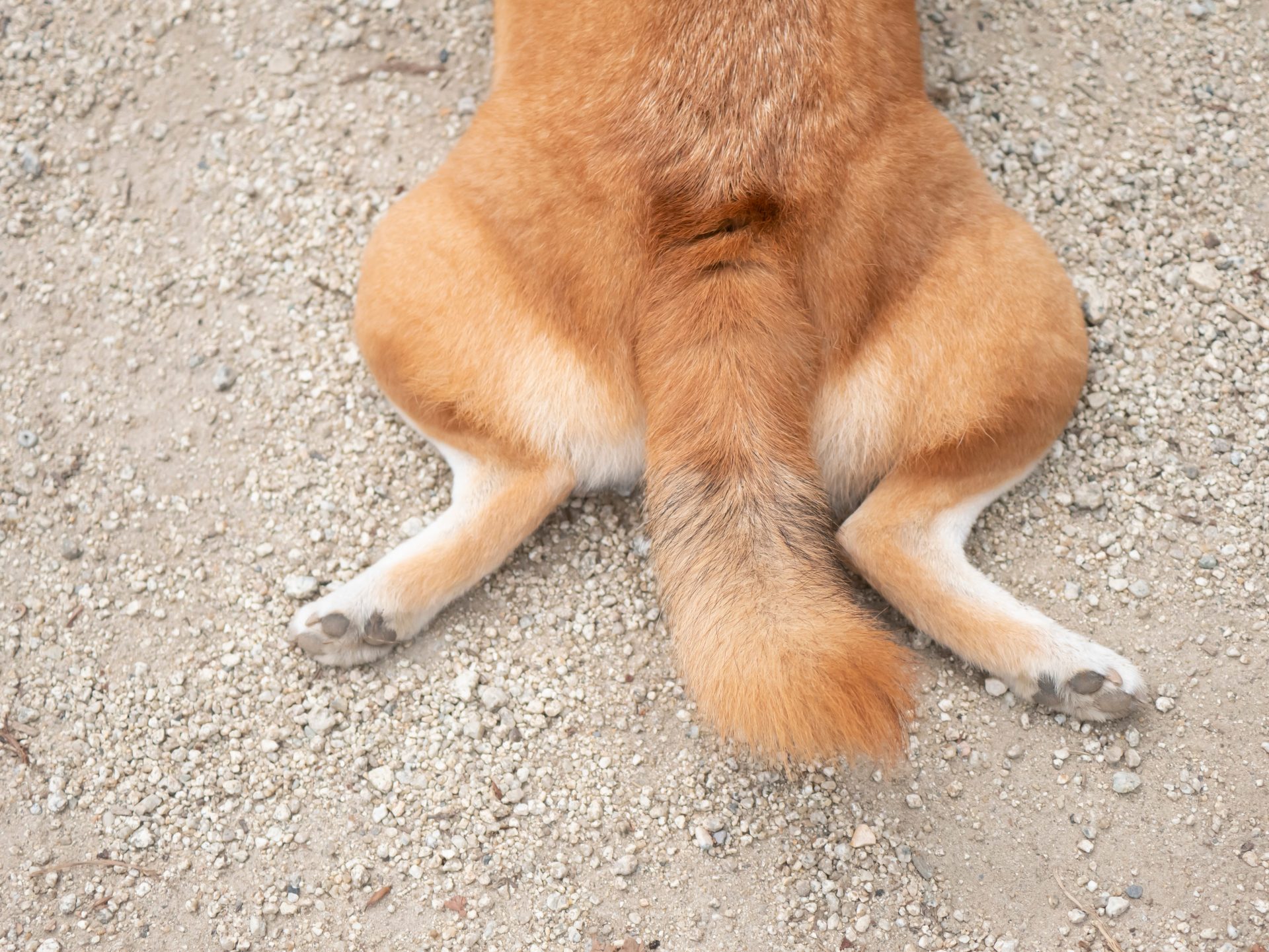 5e75123b70fb5e1b1ece6cb0d919217e