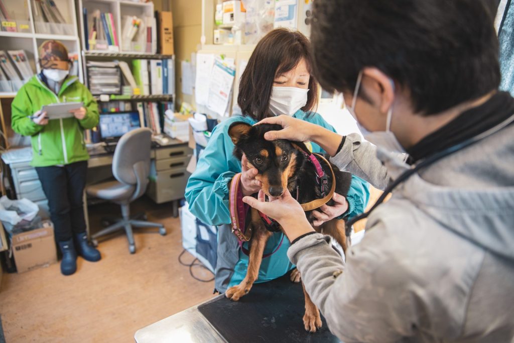 1ad7ff96c33560cda5e6d72e09b66e48