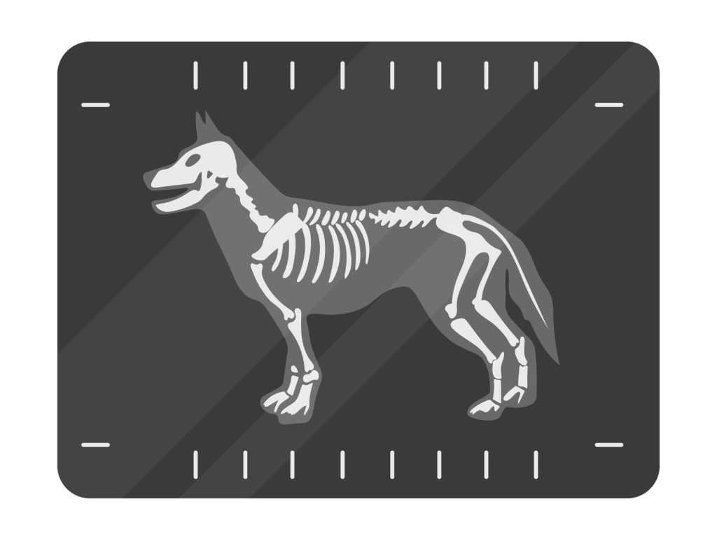 d67822afe7dfb54cea24bd72ab137e72