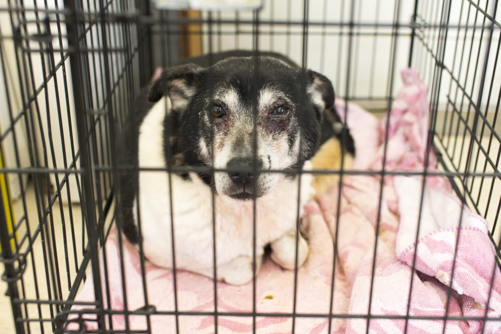 b57f7cbf563efc7929e814b6abcfc701