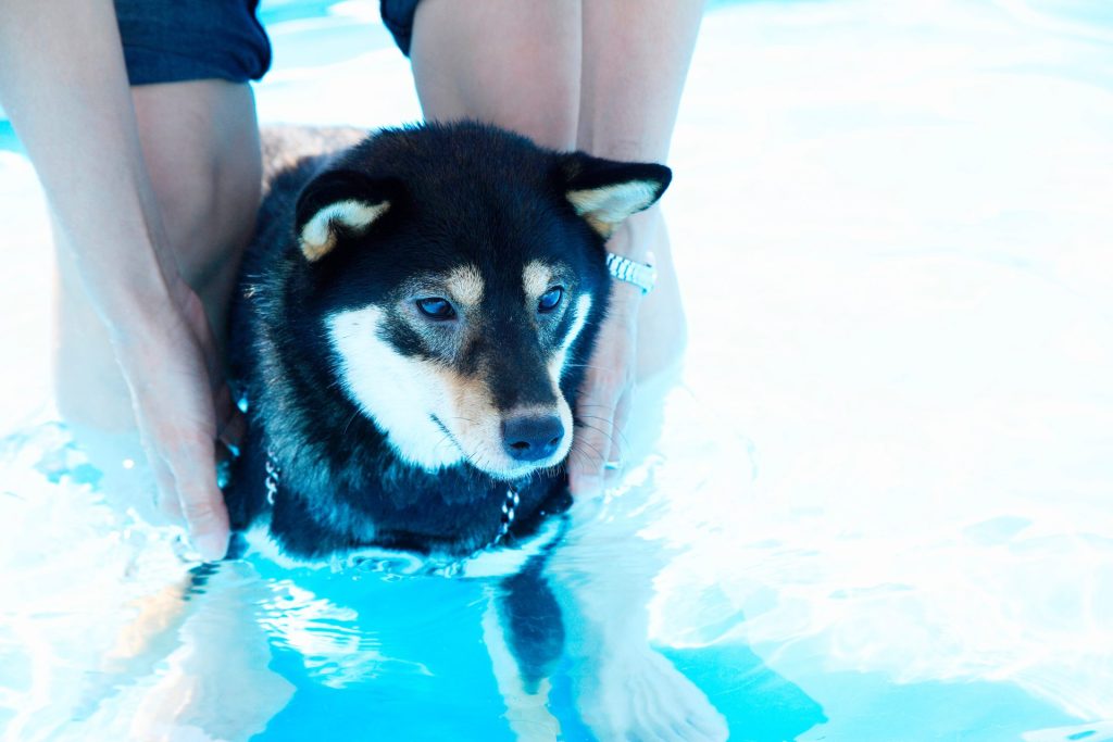 ea925e0bd05df994cf3a2968c69ec5ba