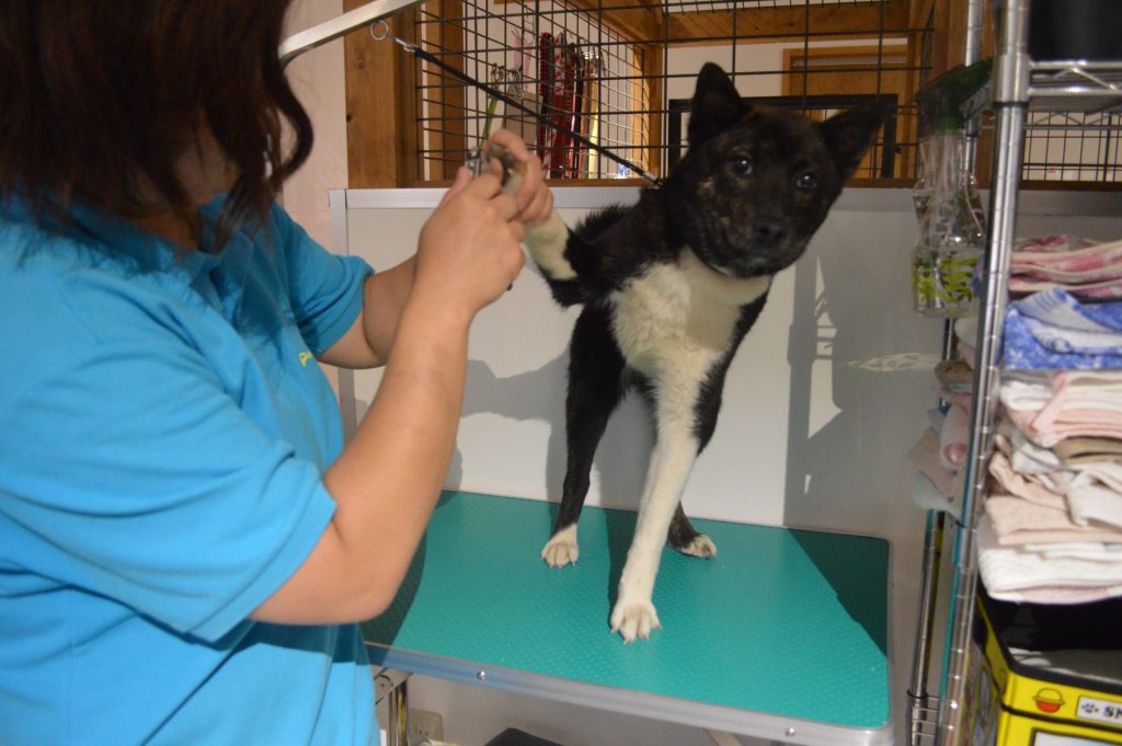 1db35b719da1ce2d47cbc52be057f516