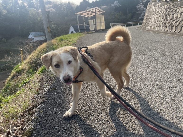 e589c1c3e94f0323cfb305b3efb9f0b6