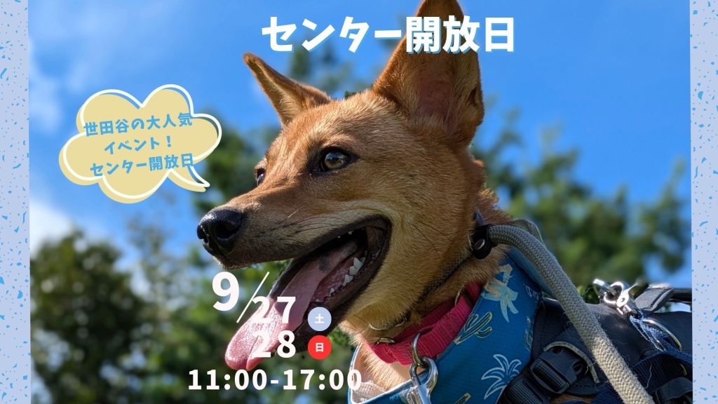 【ピースワンコのイベント】9/27(土)、28(日)センター開放日「保護犬に会いに行こう!」(世田谷譲渡センター) 9 f6777178a742227b4e0e1f8004f62c39