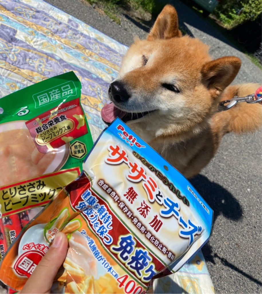 ワンだふるファミリーからの近況報告:2025年8月16日(土曜日) 14 7a9648497277067c5f8d33439977eb23