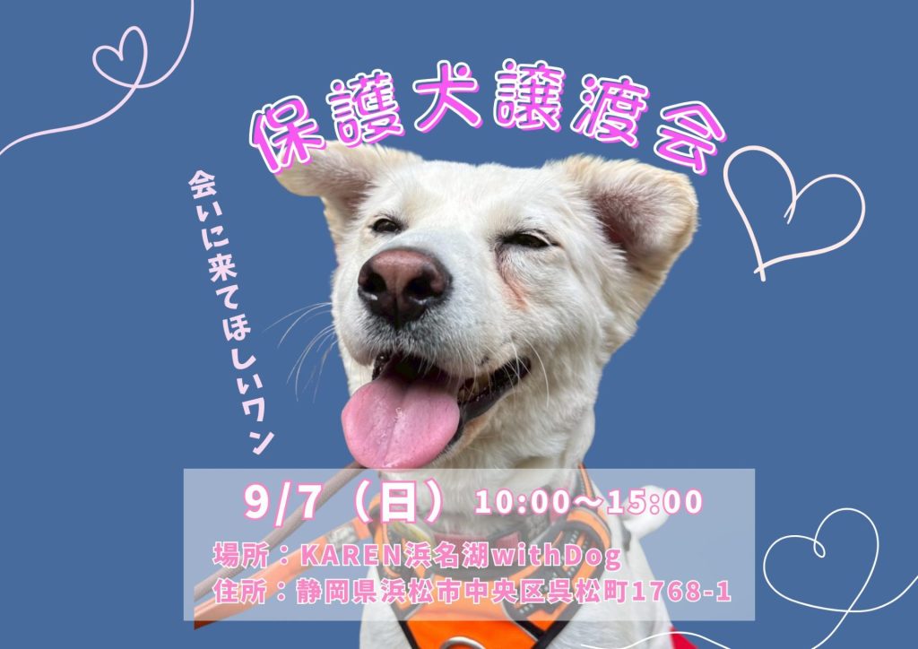 【ピースワンコの譲渡会】9/7(日)「保護犬譲渡会」を開催(静岡/浜松市) 6 e6acaf193f542483f100e7c4d50f3193