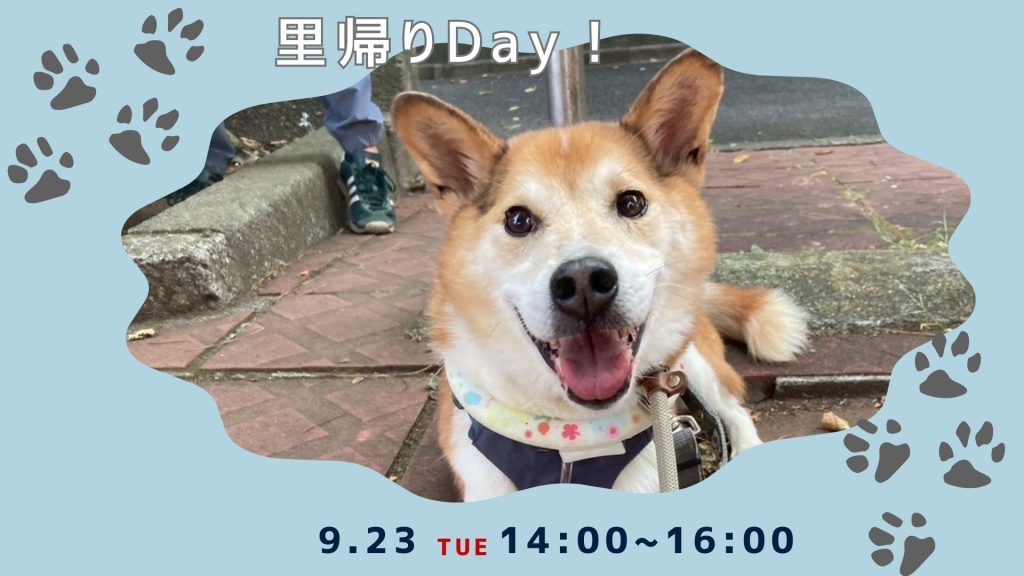 【ピースワンコのイベント】9/23(祝火)里帰りdayを開催(世田谷譲渡センター) 10 add92d2ef5d206c578cf554bf15a495d
