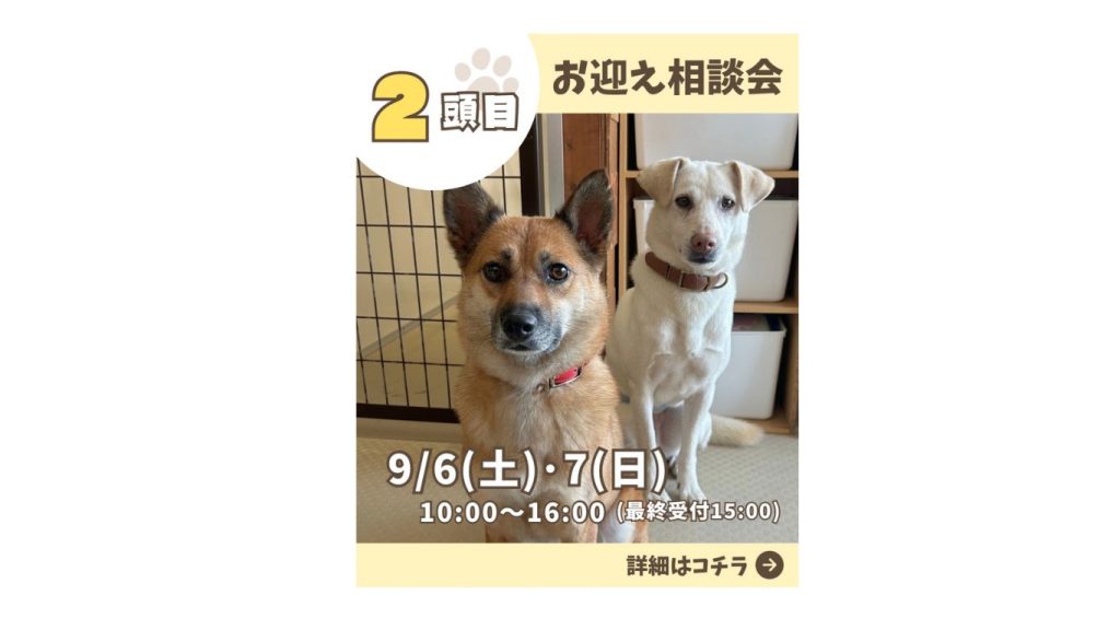 e1e51e290613e7858552f2cadf603be2