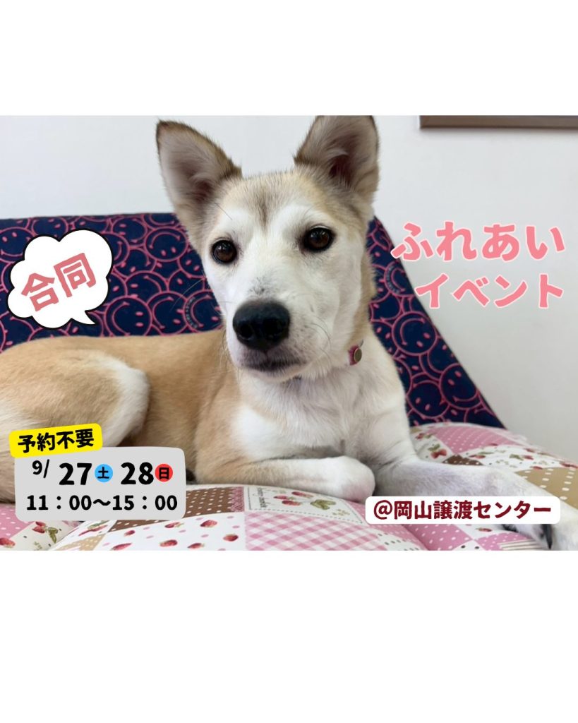 【ピースワンコのイベント】9/27(土)、28(日)「合同ふれあいイベント」開催(岡山譲渡センター) 8 4070a93fb3c80db771a41446195f7b6d