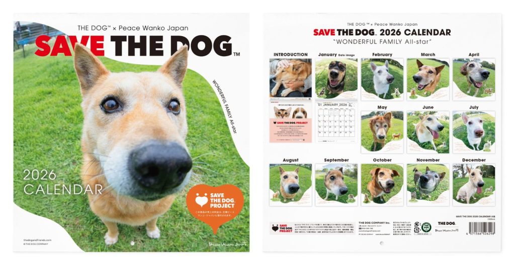 95441d21be113b98f831efc3dd86fd57 1