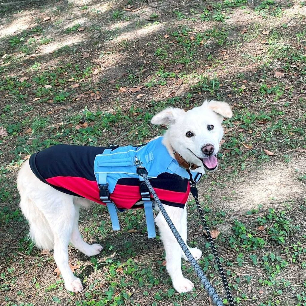 d10446a4f744bbc3fb17d235a7cb4f9d