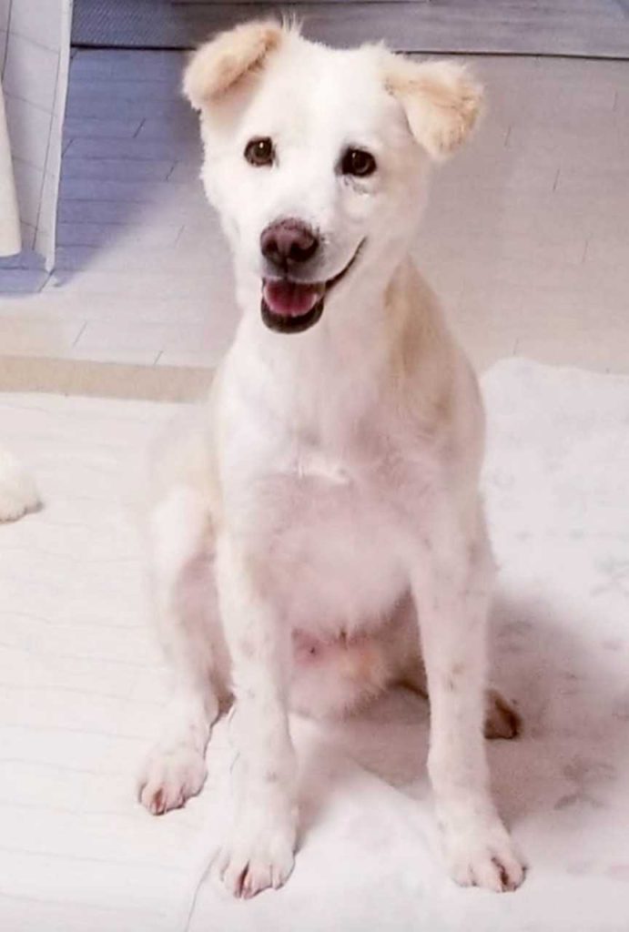 43ff53835bf31b3d1e39b4a78ca1960f