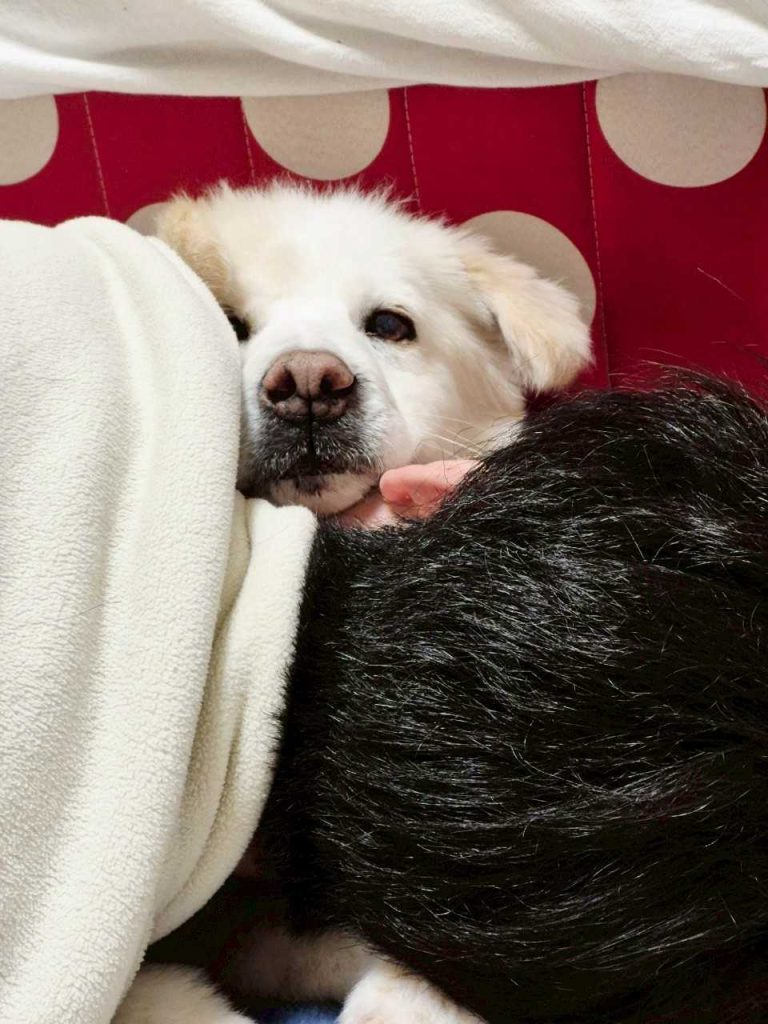 587118ffafc9e87d15d8df42036d4d30