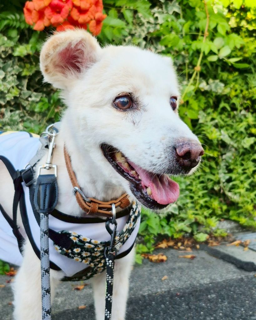 a814b173565ba0fcae599da60d52986a