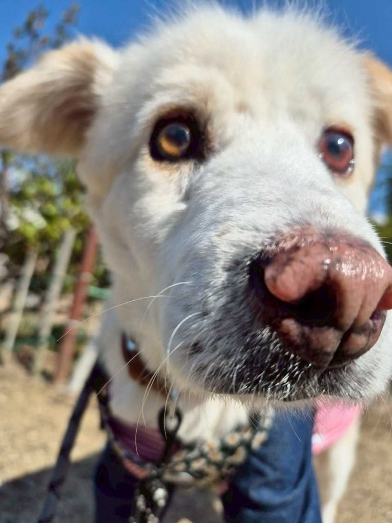 1712701afa03be2b10806291817224c3