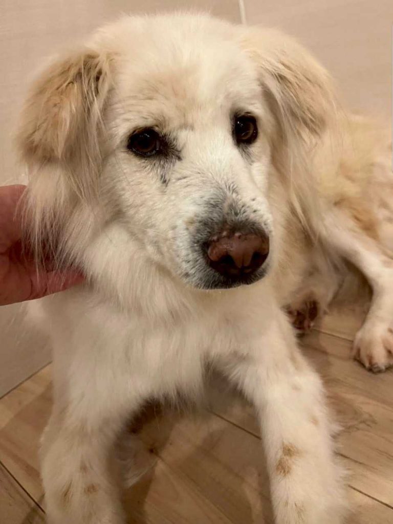 f43575a3511f5b441749f071cfe31916