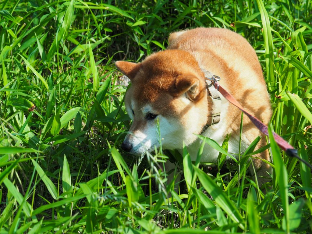 3dbf7e6884f6bc5981ba6b8c1008d693