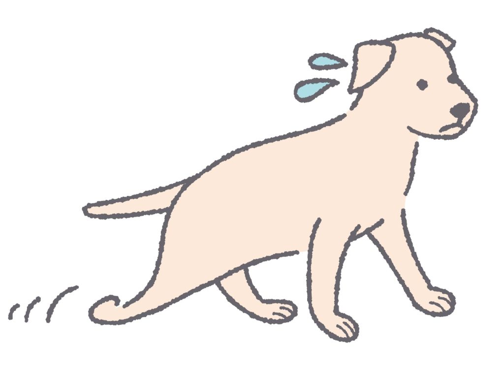 15f2e7bd5710aa759f1dd414d4c003b5