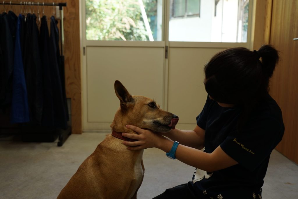 cb87ab0fdc607bc93e5baa3558e61e75