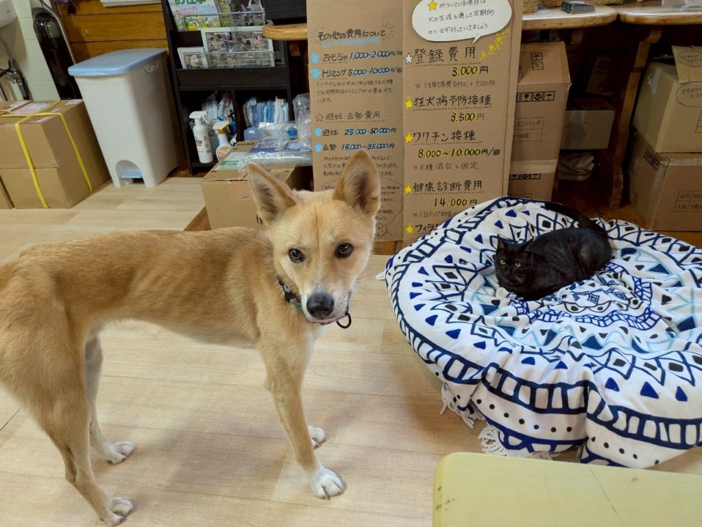 99362404e7c9d3025755f933fde7ea86