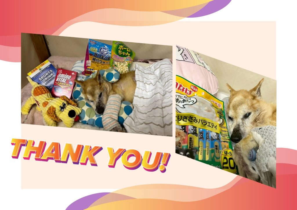 ワンだふるファミリーからの近況報告:2025年8月23日(土曜日) 4 bd0d6694615119c653cf5514405c6f0c