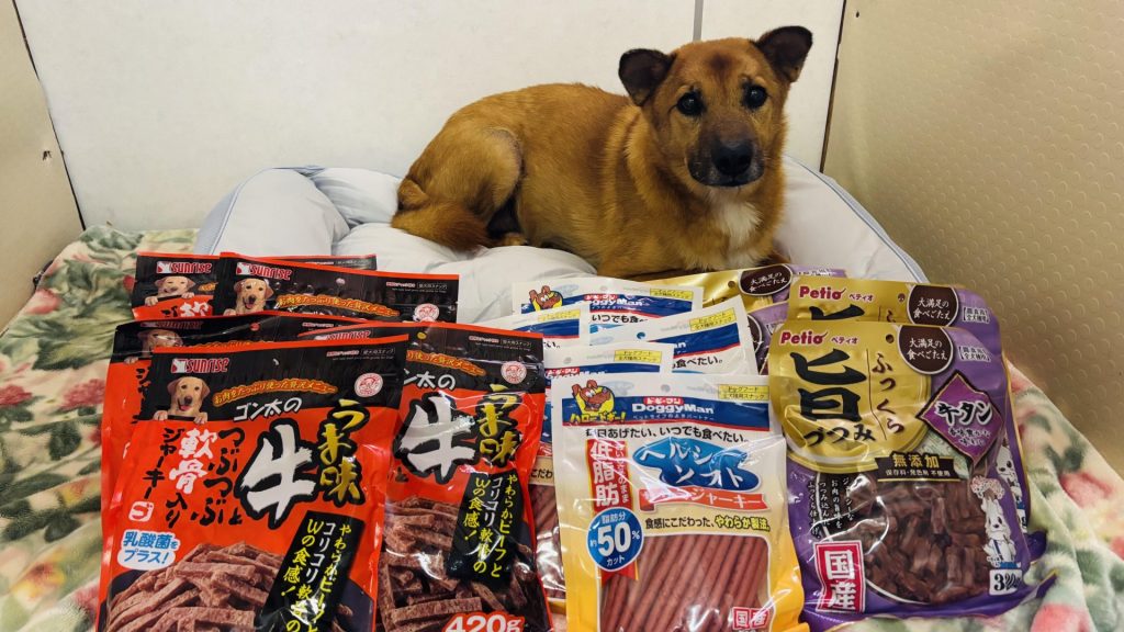 ワンだふるファミリーからの近況報告:2025年8月23日(土曜日) 6 a7d1a187bcf9de4761283acc9d8c3dbe