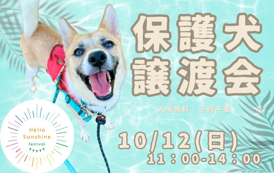 0137ac02199f221ea6522782b99f4588