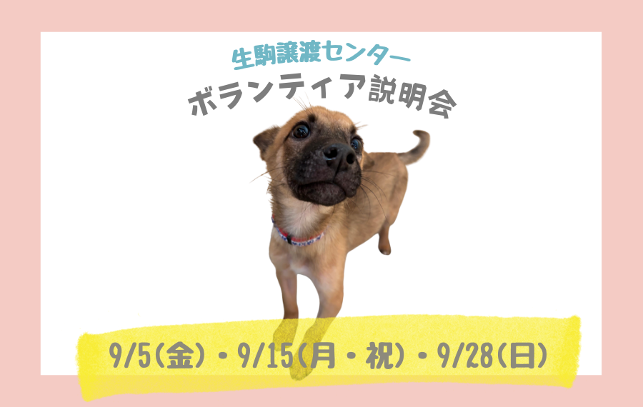 595f7706395c47509808a0e383156d97