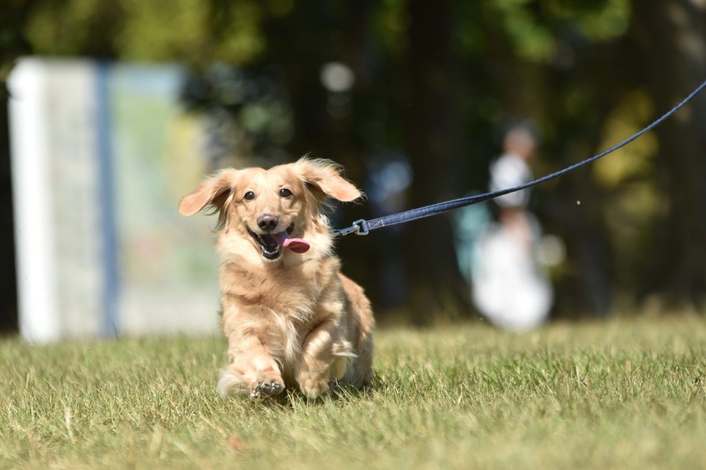 3 AdobeStock 338512144