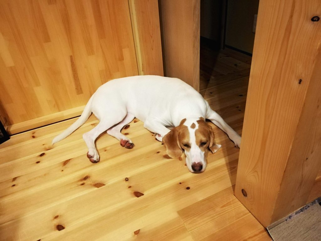 5 AdobeStock 452849825