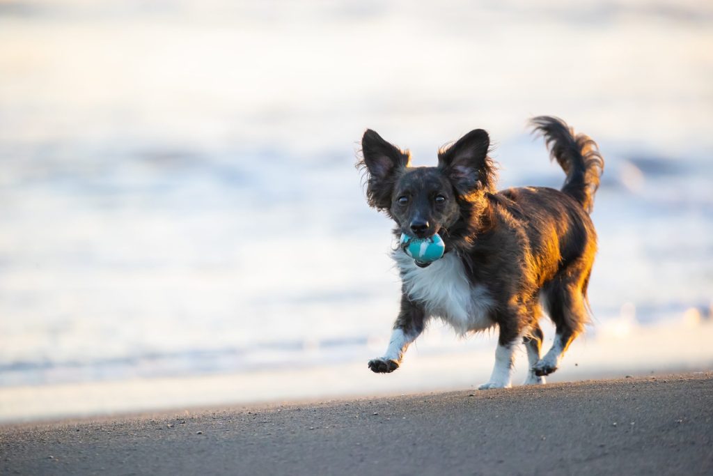 7 AdobeStock 522954996