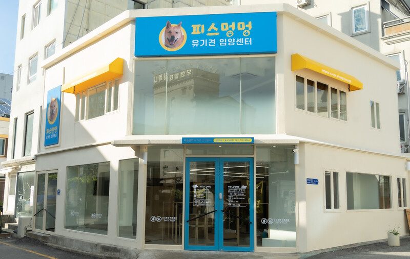 韓国に都市型保護犬譲渡センター「ピースモンモン」が誕生! 1 d129d67fe33ae