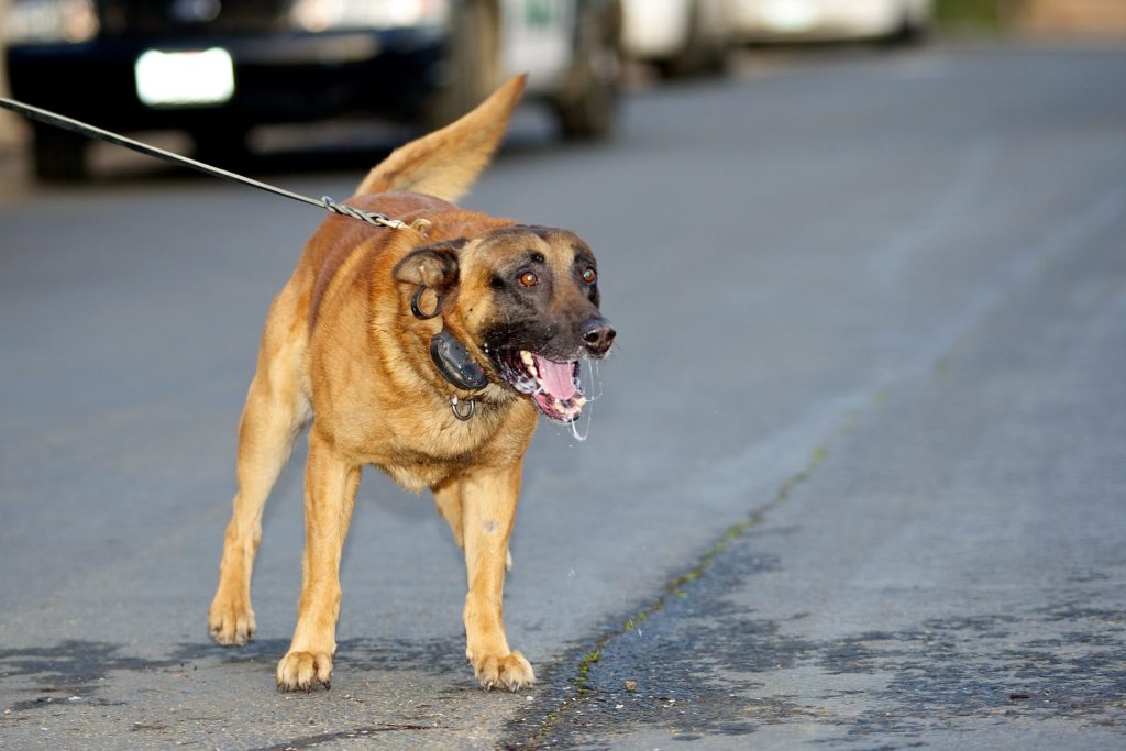 d416bf2e4c00ccd2f3227a5bf27d5fa9