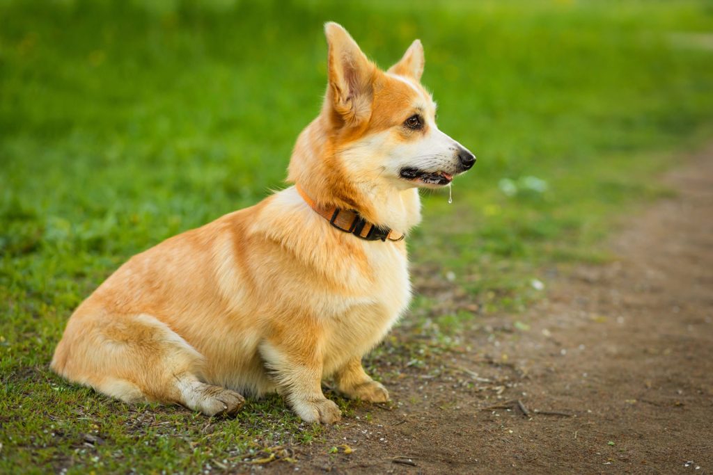 014aa2e6a46c46a6071471e262b7793f