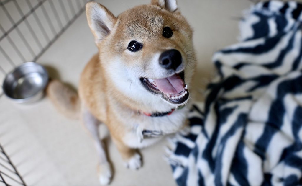 84da53d53e5a1456b1bf31a14c74603a