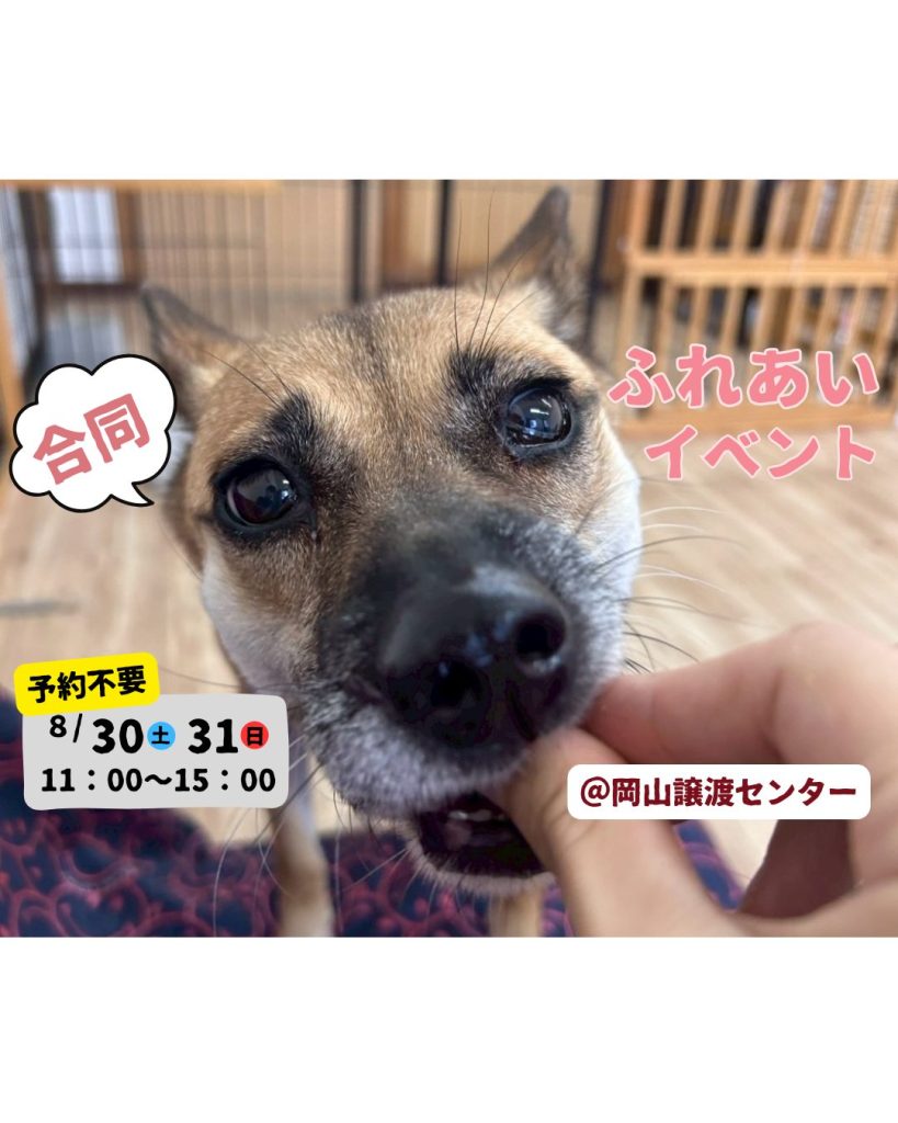 6f5cdf2d4ec3137fa705e5420b2a85a2