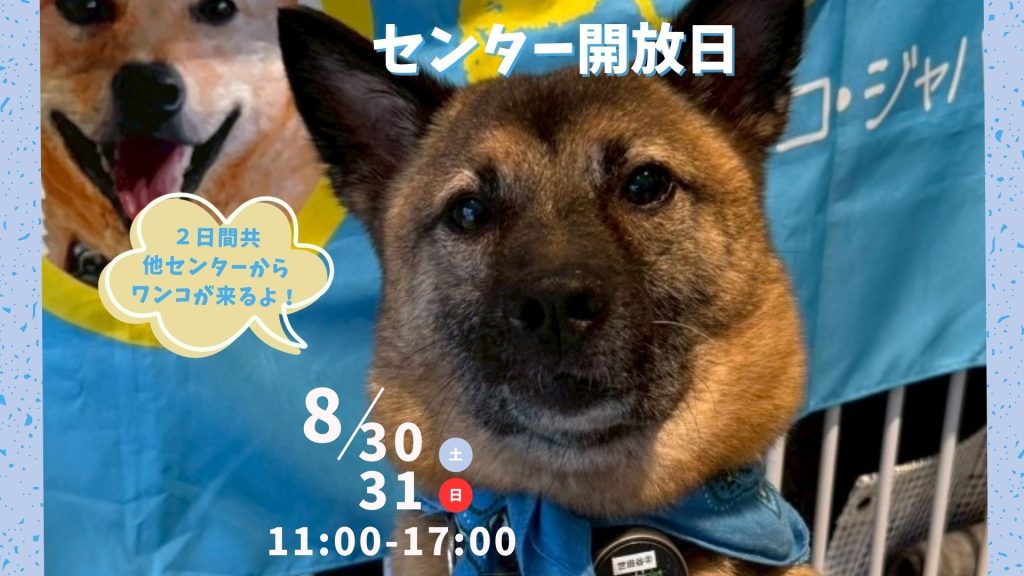 【ピースワンコのイベント】8/30(土)、31(日)センター開放日「保護犬に会いに行こう!」(世田谷譲渡センター) 4 2c83cf58c27ca567e6b9f08cd5487b80