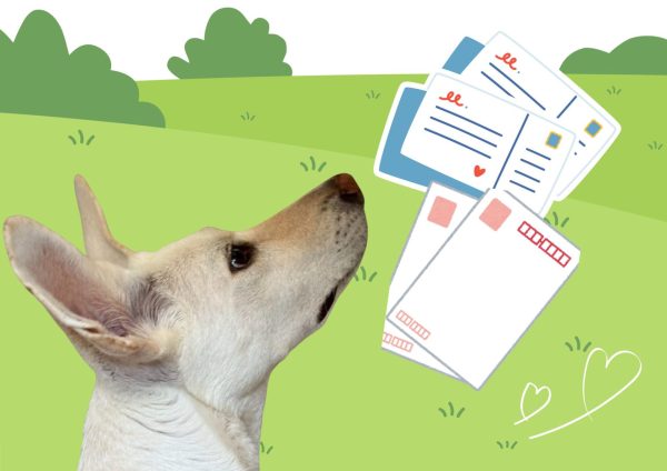 【お知らせ】書き損じや未使用の「官製ハガキ」、未使用の「切手」をお送りください 1 1 4 e1756433370625